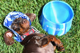 SSBBQ Silipint Foldable Aqua-Fur Dog Bowl