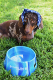 SSBBQ Silipint Foldable Aqua-Fur Dog Bowl